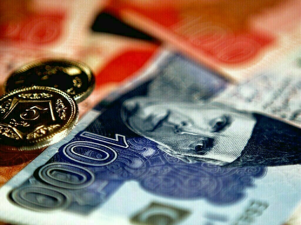 20131838f2a3065 CDNS Adjusts Savings Scheme Rates Amid Unchanged SBP Interest