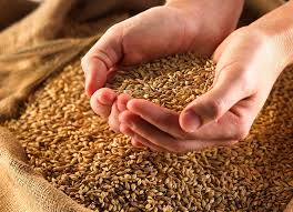 images ECC Meeting Addresses Wheat Procurement and Provincial Involvement