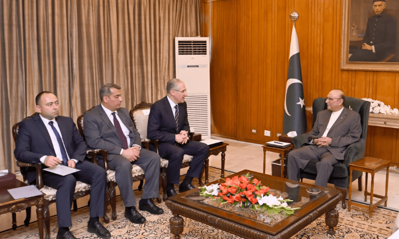 110822070aabc3b President Zardari Urges Global Action on Climate Change Ahead of COP29
