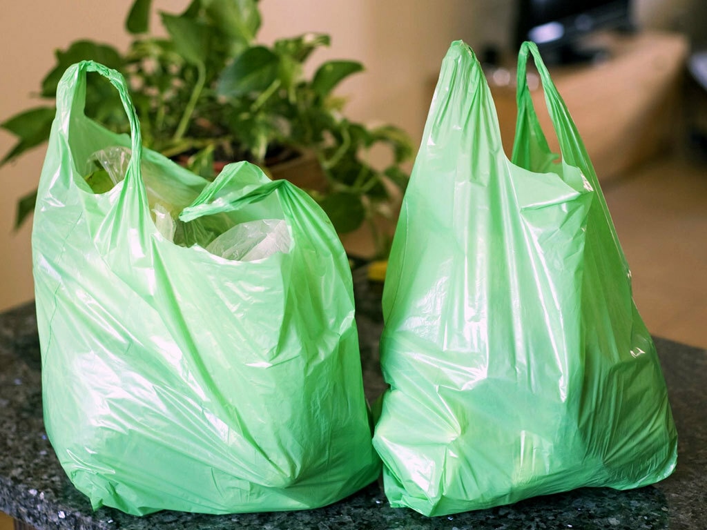 Punjab Government Enforces Province-Wide Ban on Plastic Bags